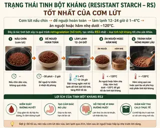 Cơm Lứt BEE - 19.000 ₫ tại Cơm HEALTHY BEE RED LẠNH ENERGY - Đường Số 25