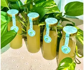 Everyday Gentle (Dạ dày nhạy cảm) - CHAI THỦY TINH - 46.000 ₫ tại KusaGut - Nguyễn Thái Sơn