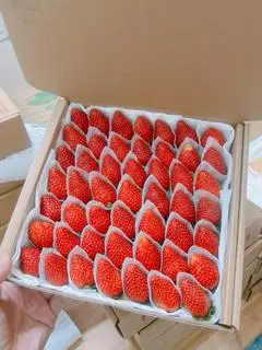 Hình ảnh Mua 2 hộp size lớn vừa tặng hũ muối xí muội