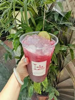 Hình ảnh Trà nho đen 