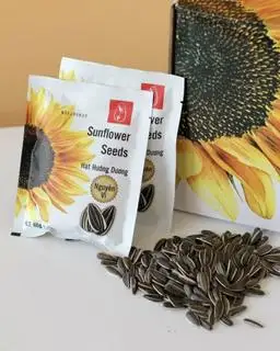 Hình ảnh Hướng dương