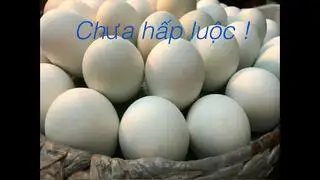 CHƯA HẤP LUỘC   - 15.000 ₫ tại Hột Vịt Lộn Kim Thảo - Xuân Thuỷ