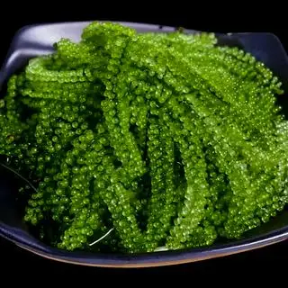 RONG NHO 100GR (kèm sốt mè rang) - 48.000 ₫ tại Góc Sushi - Sashimi Ngon Quận 7 - Đường 85