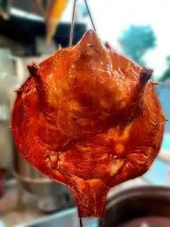 Hình ảnh Vịt Tỳ Bà