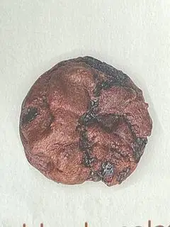 Hình ảnh bánh quy sô cô la
