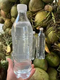 Hình ảnh NƯỚC DỪA ƯỚP LẠNH 