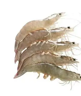 Hình ảnh tôm thêm 2 con