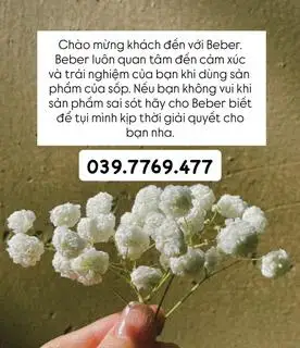 Hình ảnh Alo... Beber nghe!!!