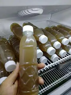 Hình ảnh mía lia 