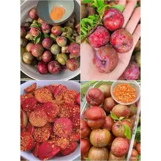 Hình ảnh Mận đầu mùa dầm 