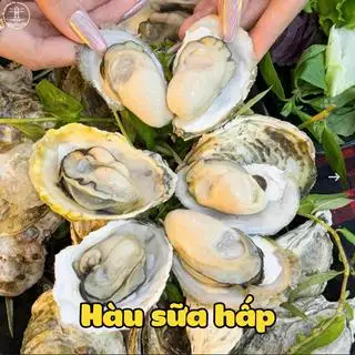 Hình ảnh Hàu Hấp Sả -12Con