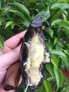 Hình ảnh Bánh gai to