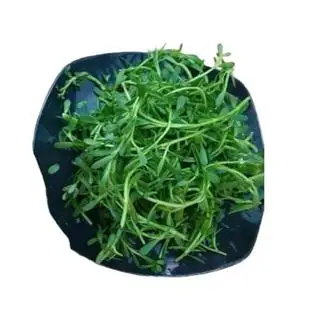 Hình ảnh Rau đắng thêm