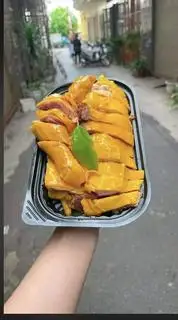 Hình ảnh gà ủ
