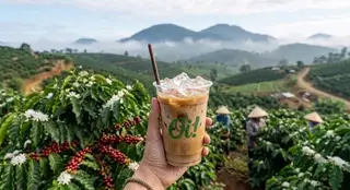 Cà phê sữa  - 30.000 ₫ tại Mi Ơi Matcha & More - Nguyễn Thị Minh Khai