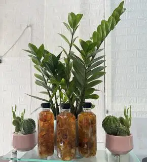 Hình ảnh chè dưỡng nhan