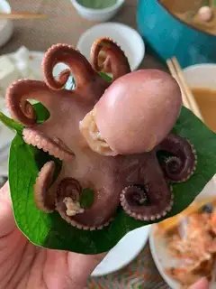 Hình ảnh Bạch tuộc thêm
