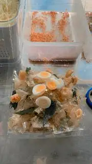 Hình ảnh Bánh Tráng Dẻo Tỏi Tóp Mỡ - Trứng Lòng Đào