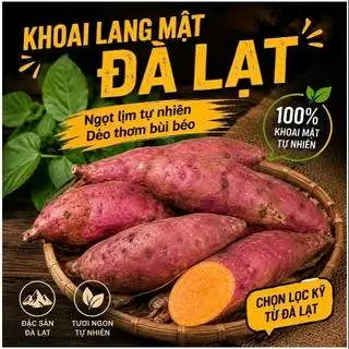 Hình ảnh Khoai lang mật chưa nướng 