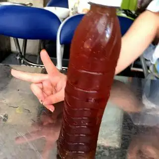Sâm bí đao hạt chia - 15.000 ₫ tại Út Thơ - Mì Trộn & Cơm Gà - Huỳnh Đình Hai