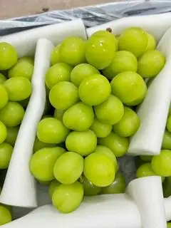 Hình ảnh Nho mẫu đơn