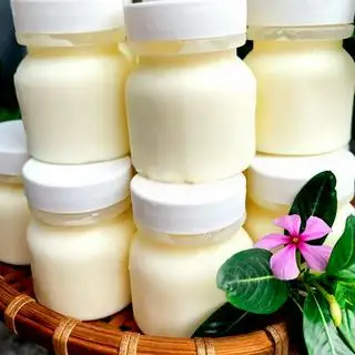 Hình ảnh Sữa chua lùn - yaourt - set 10 hộp