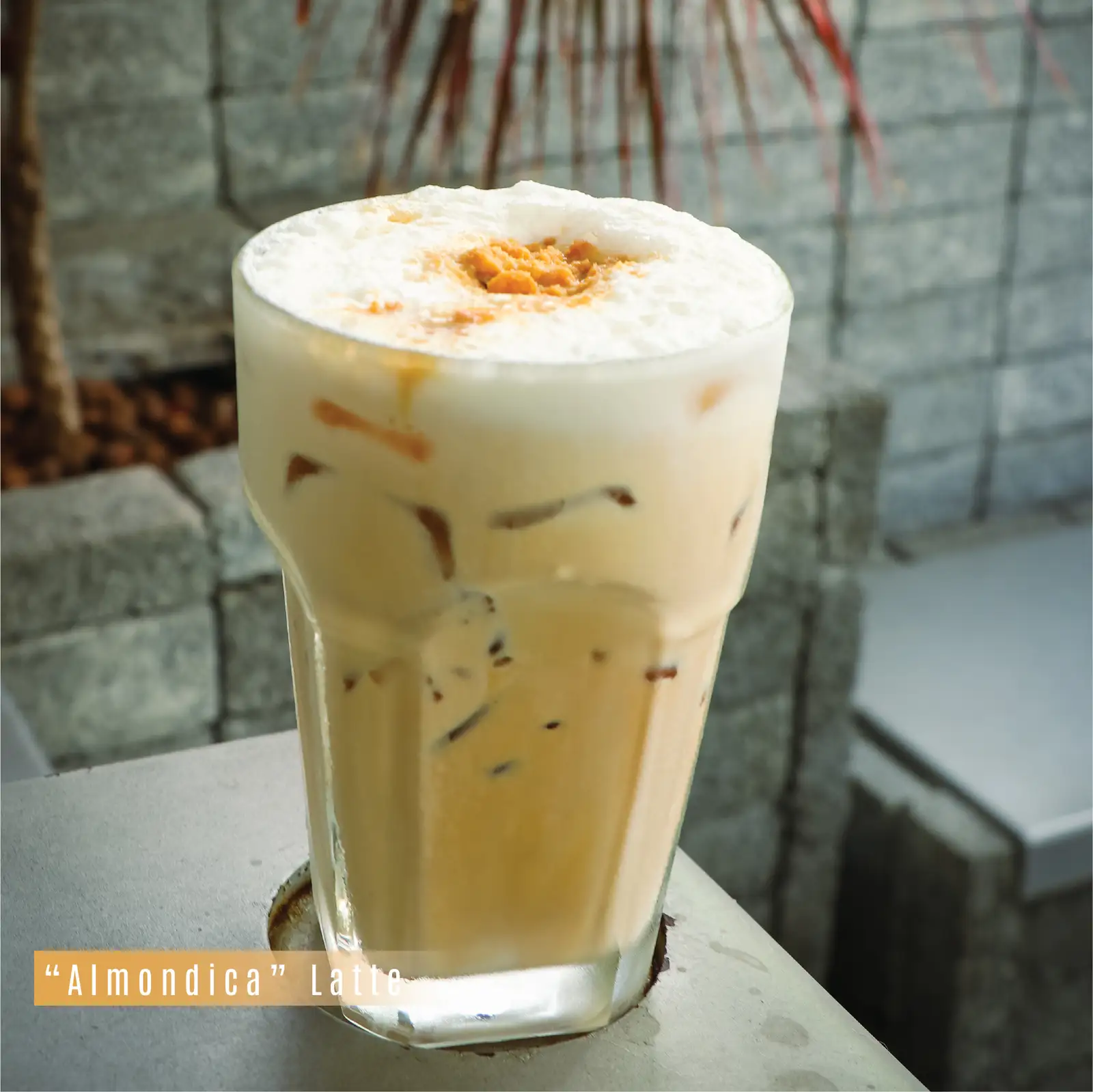 Hình ảnh "Almondica" - Latte