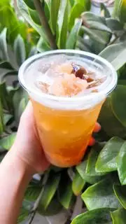 Hình ảnh Trà mơ má đào 