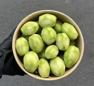 Hình ảnh Cóc bao tử
