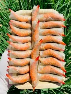 Hình ảnh Chả ram tôm đất 500g (25-27 cuốn)
