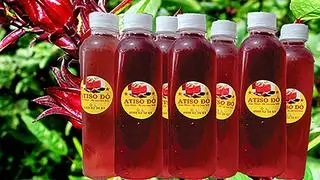 Hình ảnh Atiso đỏ Combo 5 chai/ 70.000đ