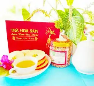 Hình ảnh TRÀ HOA SÂM NAM NÚI DÀNH