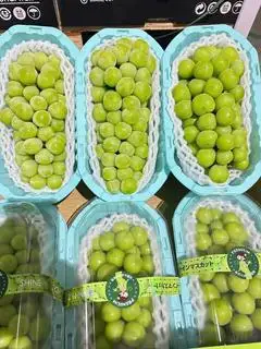 NHO SỮA - 255.000 ₫ tại Trái Cây Nhập Khẩu Nguyên Fruit - Chung Cư Miếu Nổi