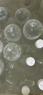 Hình ảnh Dừa chai lớn