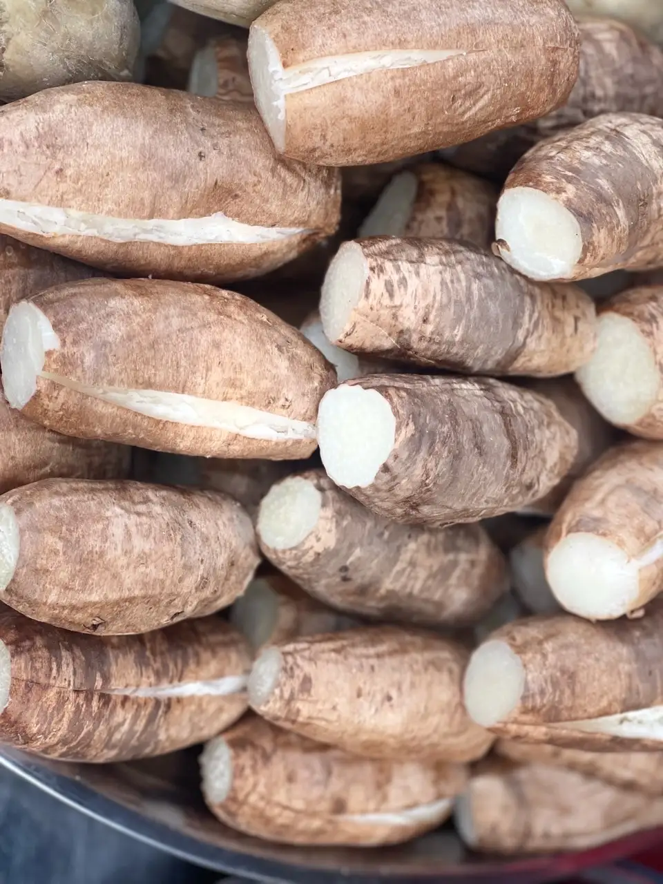 Hình ảnh khoai từ hấp (dẻo+bột)1kg