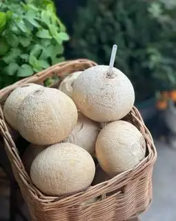 Hình ảnh Dừa lạnh