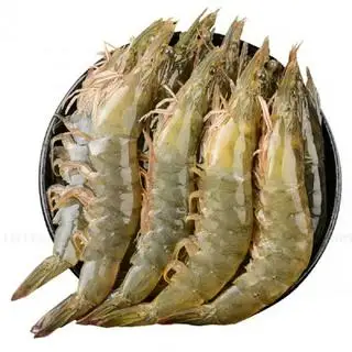 Hình ảnh Tôm 
