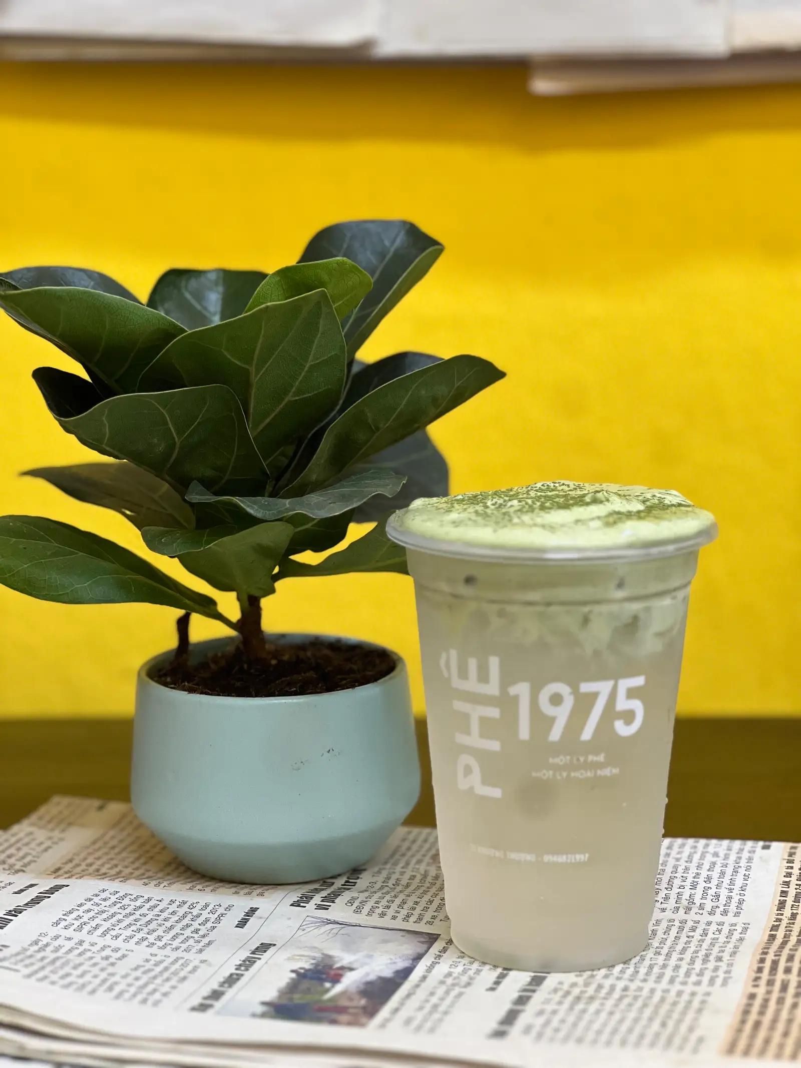 Hình ảnh Coco matcha - NÊN THỬ