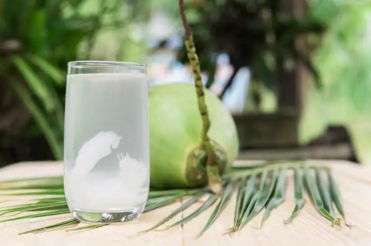 Dừa Trái - 40.000 ₫ tại Tinboni - Cà Phê & Trà - Âu Cơ