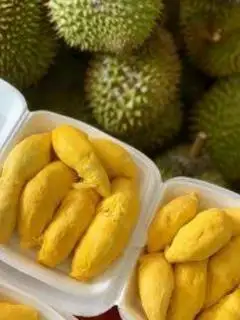 Hình ảnh combo 5 múi sầu Siêu ngon