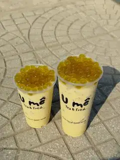 Hình ảnh Olong nhài sữa 