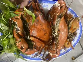 Hình ảnh miến xào cua 2 con 450 gram