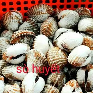 Hình ảnh Sò huyết xào tỏi
