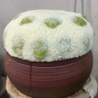 Hình ảnh Xôi Khúc 
