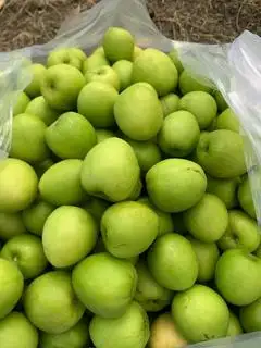 Hình ảnh Táo Phan Rang - trái cây cắt sẵn kèm muối