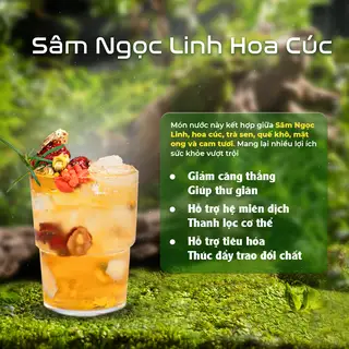 Sâm ngọc linh hoa cúc - 53.000 ₫ tại Cà Phê Sâm Ngọc Linh - Panax Tea & Coffee - Nguyễn Hồng Đào