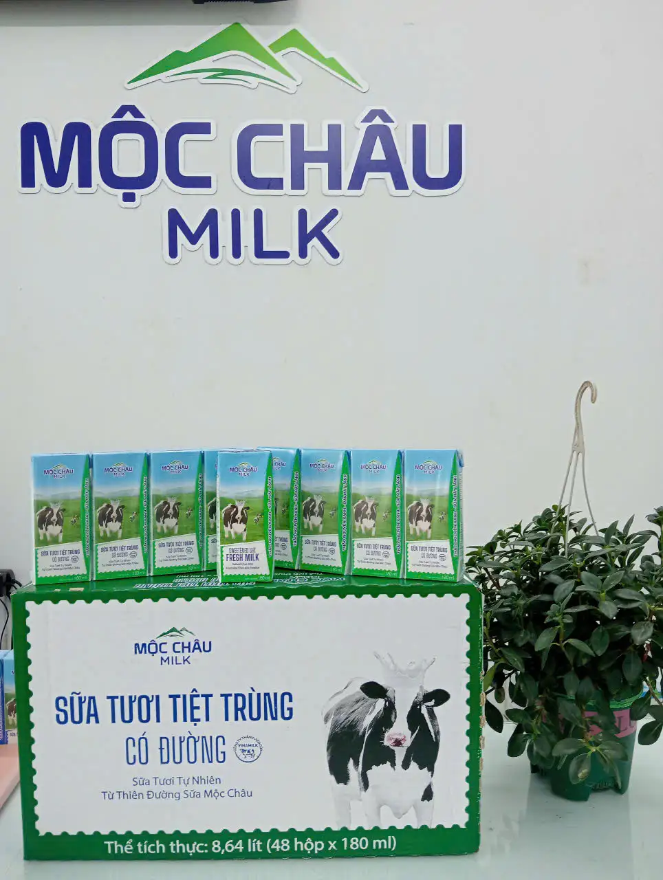 Hình ảnh Sữa tươi tiệt trùng MCM 180ml - lốc