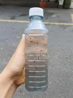 Nước hạt chia đường phèn nhà làm - 13.000 ₫ tại Bánh Tráng Tỏi Ớt Cô Giang - Chung Cư Trần Quang Diệu