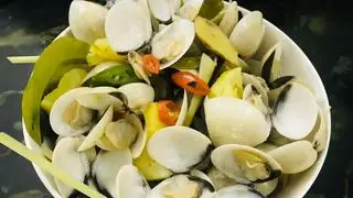 Hình ảnh Ngao trắng hấp sả
