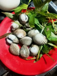 Hình ảnh sò huyết nướng mọi